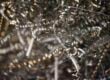 Spiral metal shavings
